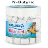 Cralusso Balanced Wafter Boilie - N-Butyric - Oz Fin Chasers